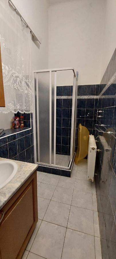 Sulcburg Apartment Cetenov Bagian luar foto